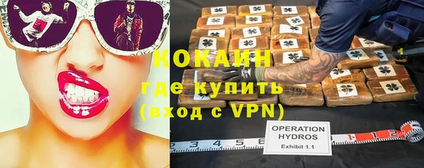 дмт Карпинск