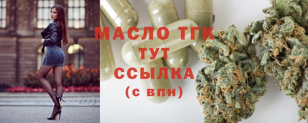 дмт Карпинск