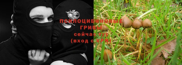 MDMA Premium VHQ Карталы