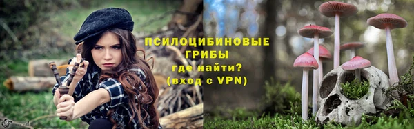дмт Карпинск