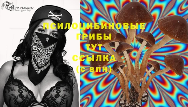 дмт Карпинск