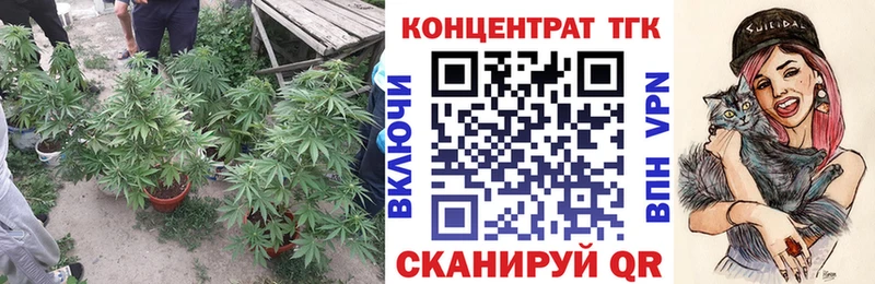 Купить где  Циолковский  ТГК концентрат 